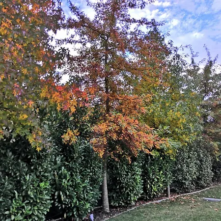 农家乐 Casa Do Passal Paço de Sousa