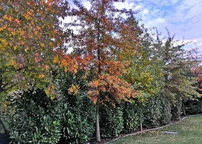 Farma Casa Do Passal Paço de Sousa